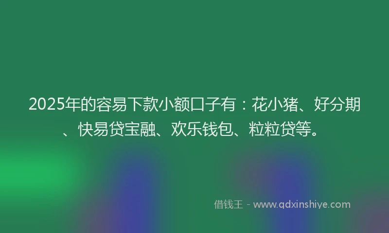 2025年的容易下款小额口子有：花小猪、好分期、快易贷宝融、欢乐钱包、粒粒贷等。