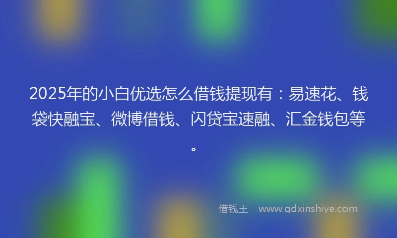 2025年的小白优选怎么借钱提现有：易速花、钱袋快融宝、微博借钱、闪贷宝速融、汇金钱包等。