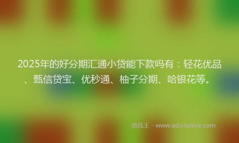 2025年的好分期汇通小贷能下款吗有：轻花优品、甄信贷宝、优秒通、柚子分期、哈银花等。