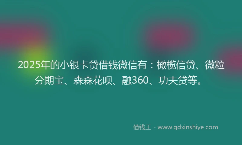 2025年的小银卡贷借钱微信有：橄榄信贷、微粒分期宝、森森花呗、融360、功夫贷等。
