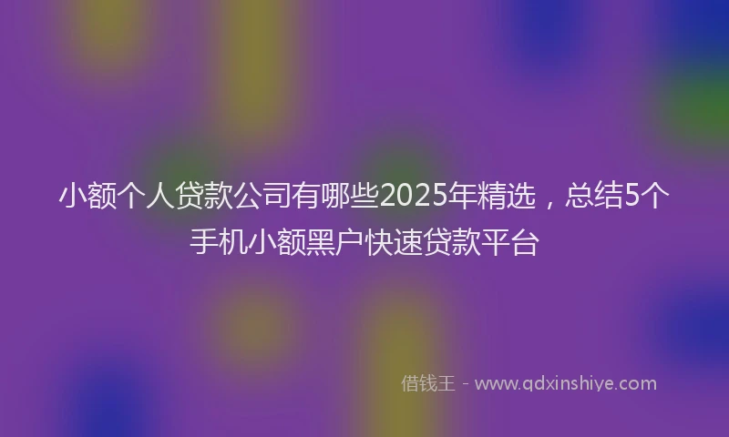 小额个人贷款公司有哪些2025年精选，总结5个手机小额黑户快速贷款平台
