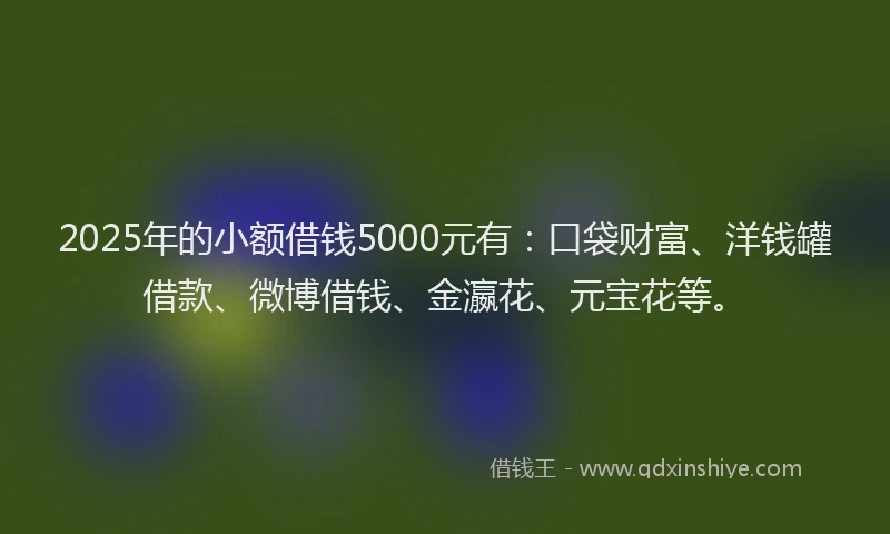 2025年的小额借钱5000元有：口袋财富、洋钱罐借款、微博借钱、金瀛花、元宝花等。