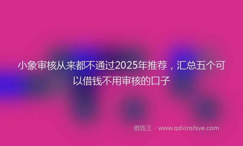 小象审核从来都不通过2025年推荐，汇总五个可以借钱不用审核的口子