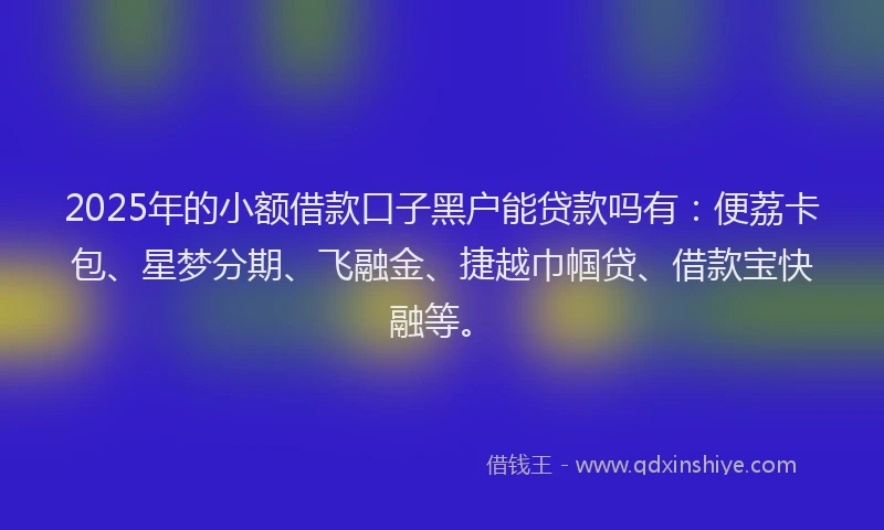 2025年的小额借款口子黑户能贷款吗有：便荔卡包、星梦分期、飞融金、捷越巾帼贷、借款宝快融等。