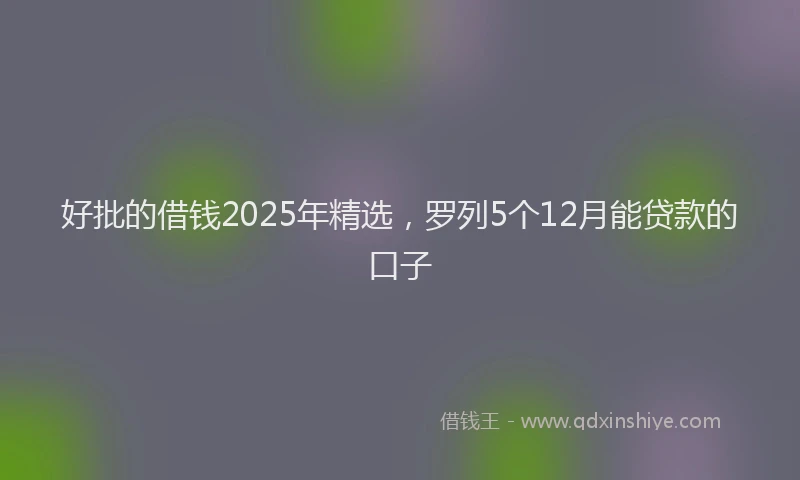 好批的借钱2025年精选，罗列5个12月能贷款的口子