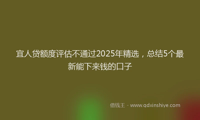 宜人贷额度评估不通过2025年精选，总结5个最新能下来钱的口子