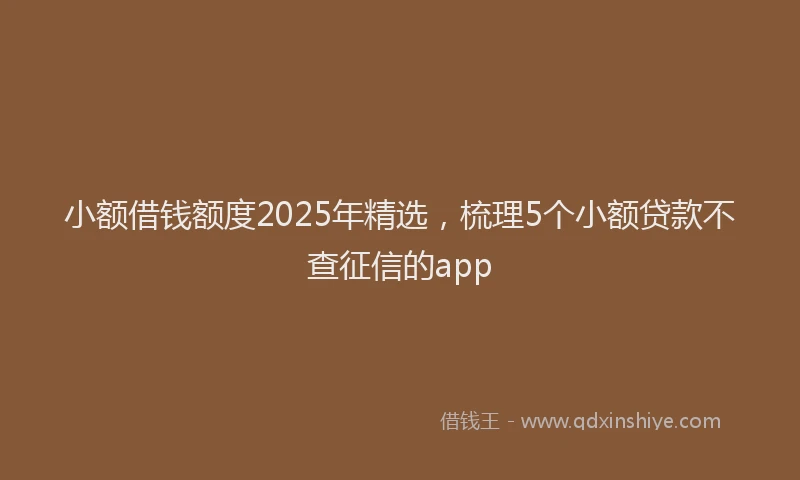 小额借钱额度2025年精选，梳理5个小额贷款不查征信的app