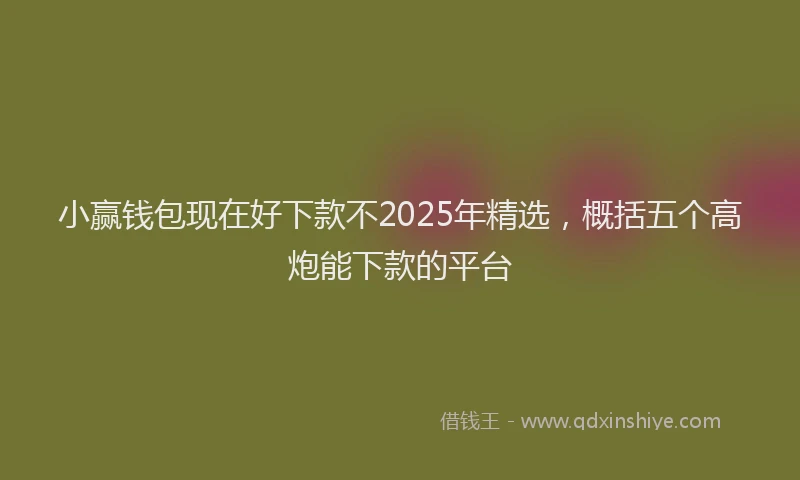小赢钱包现在好下款不2025年精选，概括五个高炮能下款的平台
