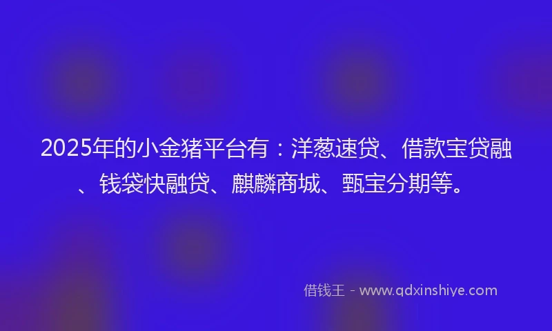 2025年的小金猪平台有：洋葱速贷、借款宝贷融、钱袋快融贷、麒麟商城、甄宝分期等。