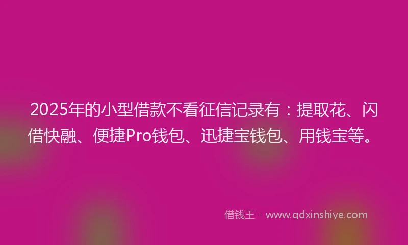 2025年的小型借款不看征信记录有：提取花、闪借快融、便捷Pro钱包、迅捷宝钱包、用钱宝等。
