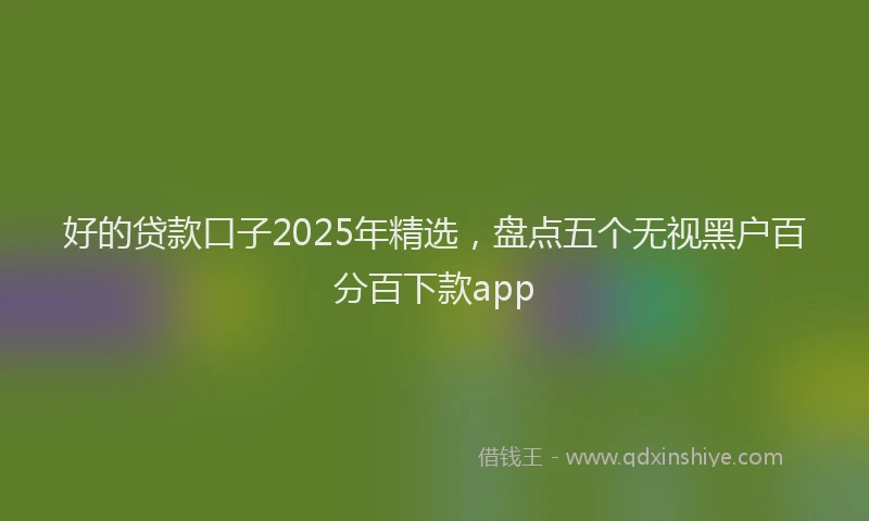 好的贷款口子2025年精选，盘点五个无视黑户百分百下款app