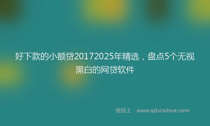 好下款的小额贷20172025年精选，盘点5个无视黑白的网贷软件