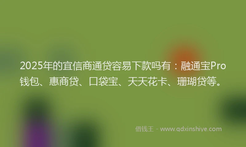 2025年的宜信商通贷容易下款吗有：融通宝Pro钱包、惠商贷、口袋宝、天天花卡、珊瑚贷等。