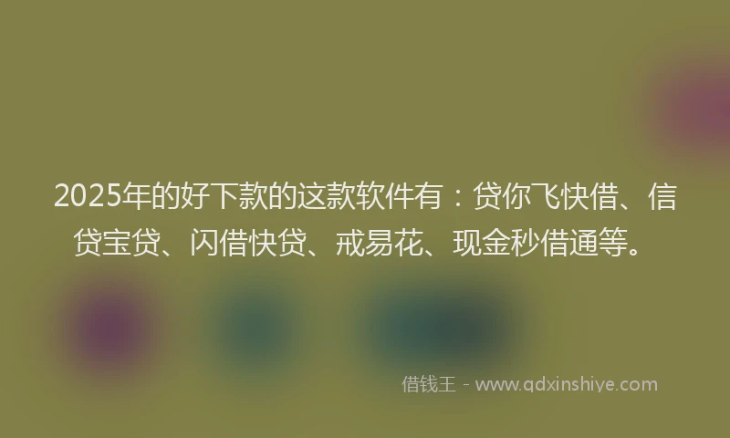 2025年的好下款的这款软件有：贷你飞快借、信贷宝贷、闪借快贷、戒易花、现金秒借通等。