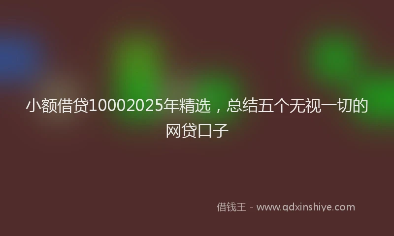 小额借贷10002025年精选，总结五个无视一切的网贷口子