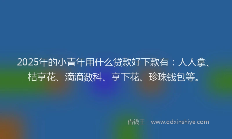 2025年的小青年用什么贷款好下款有：人人拿、桔享花、滴滴数科、享下花、珍珠钱包等。