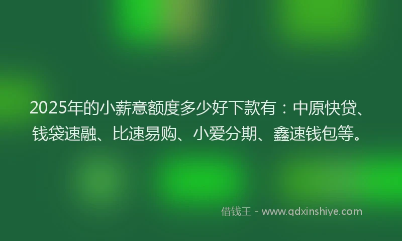 2025年的小薪意额度多少好下款有：中原快贷、钱袋速融、比速易购、小爱分期、鑫速钱包等。