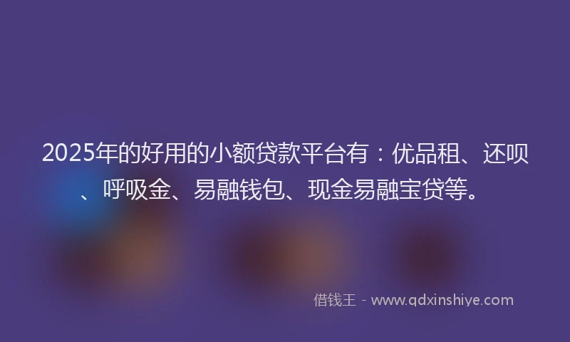 2025年的好用的小额贷款平台有：优品租、还呗、呼吸金、易融钱包、现金易融宝贷等。