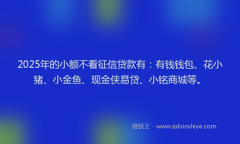 2025年的小额不看征信贷款有：有钱钱包、花小猪、小金鱼、现金侠易贷、小铭商城等。