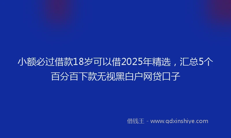 小额必过借款18岁可以借2025年精选，汇总5个百分百下款无视黑白户网贷口子