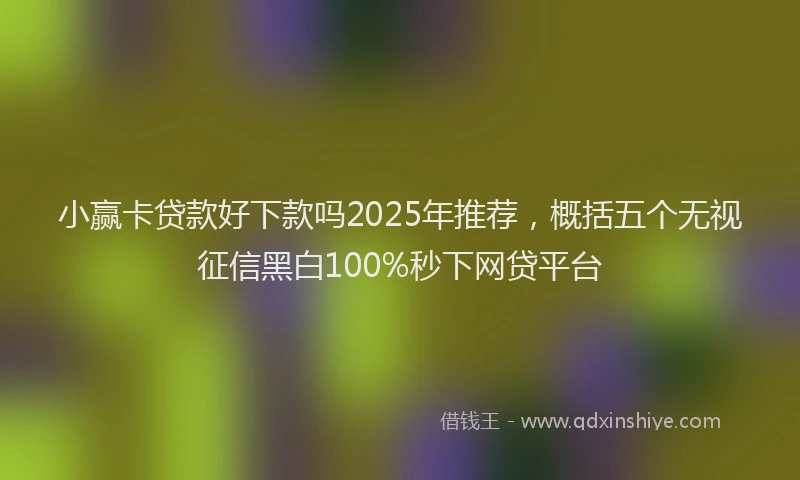 小赢卡贷款好下款吗2025年推荐，概括五个无视征信黑白100%秒下网贷平台