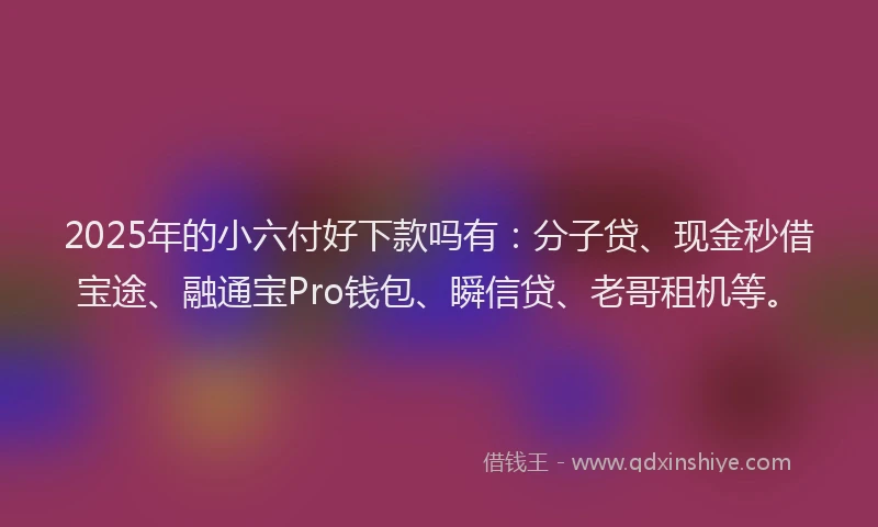 2025年的小六付好下款吗有：分子贷、现金秒借宝途、融通宝Pro钱包、瞬信贷、老哥租机等。