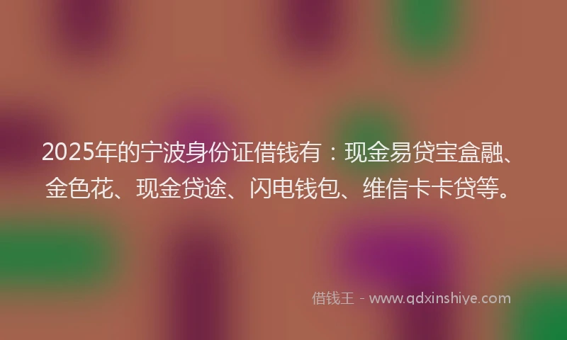 2025年的宁波身份证借钱有：现金易贷宝盒融、金色花、现金贷途、闪电钱包、维信卡卡贷等。