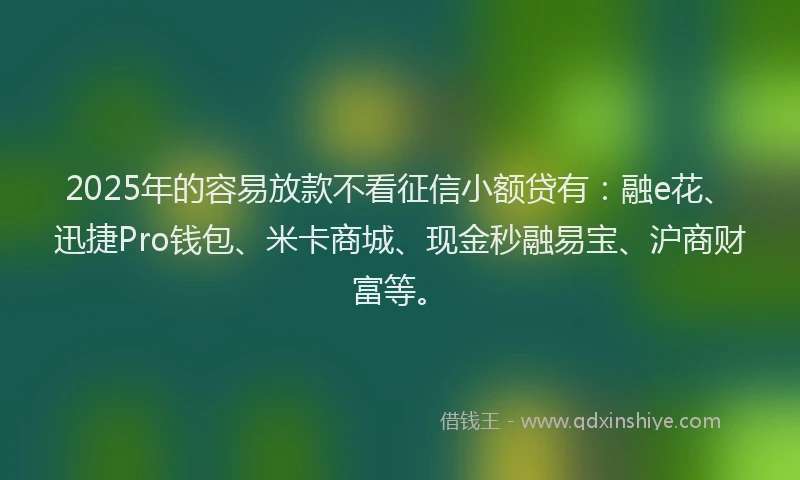 2025年的容易放款不看征信小额贷有：融e花、迅捷Pro钱包、米卡商城、现金秒融易宝、沪商财富等。
