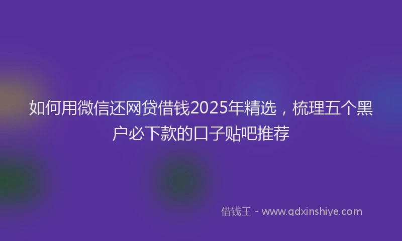 如何用微信还网贷借钱2025年精选，梳理五个黑户必下款的口子贴吧推荐