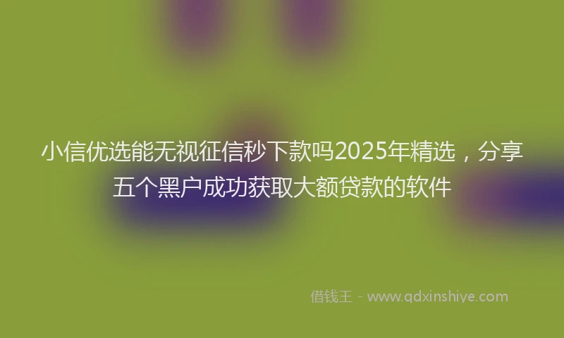 小信优选能无视征信秒下款吗2025年精选，分享五个黑户成功获取大额贷款的软件