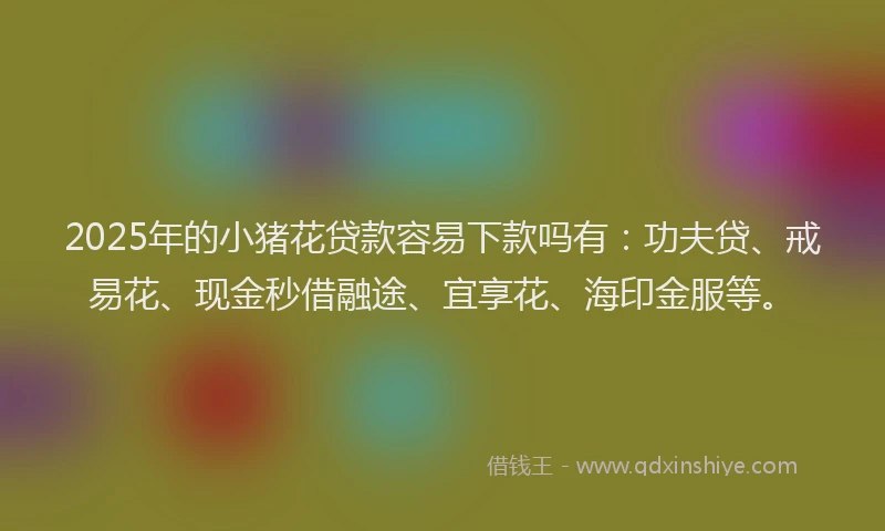 2025年的小猪花贷款容易下款吗有：功夫贷、戒易花、现金秒借融途、宜享花、海印金服等。