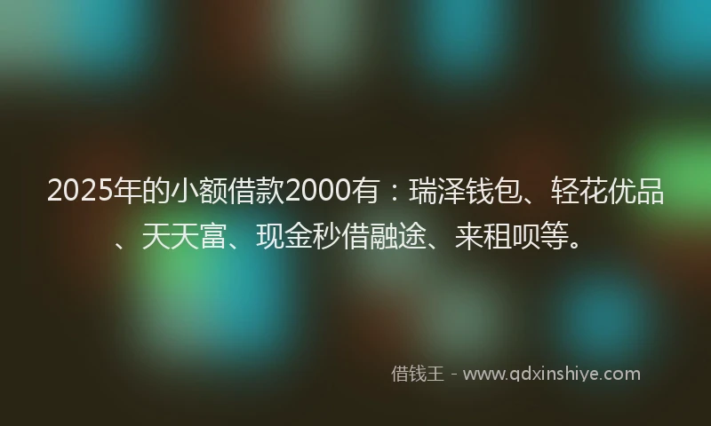 2025年的小额借款2000有：瑞泽钱包、轻花优品、天天富、现金秒借融途、来租呗等。