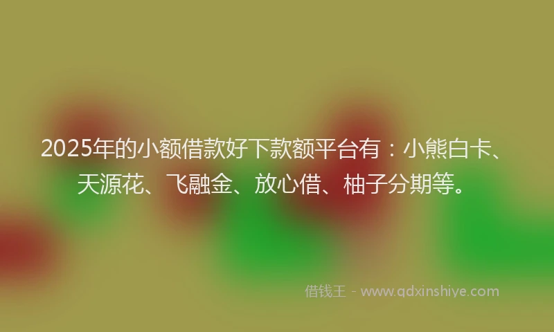 2025年的小额借款好下款额平台有：小熊白卡、天源花、飞融金、放心借、柚子分期等。