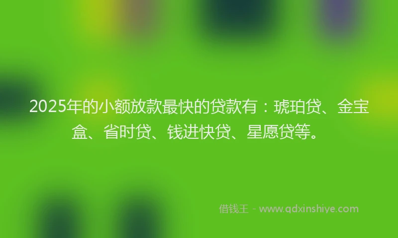 2025年的小额放款最快的贷款有：琥珀贷、金宝盒、省时贷、钱进快贷、星愿贷等。