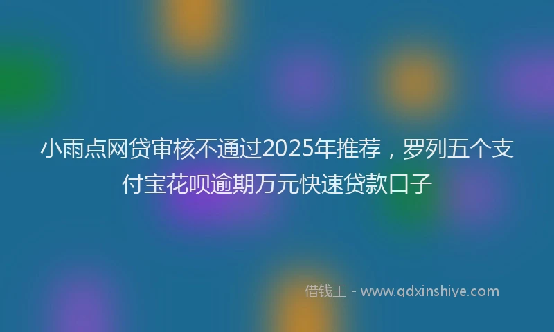 小雨点网贷审核不通过2025年推荐，罗列五个支付宝花呗逾期万元快速贷款口子