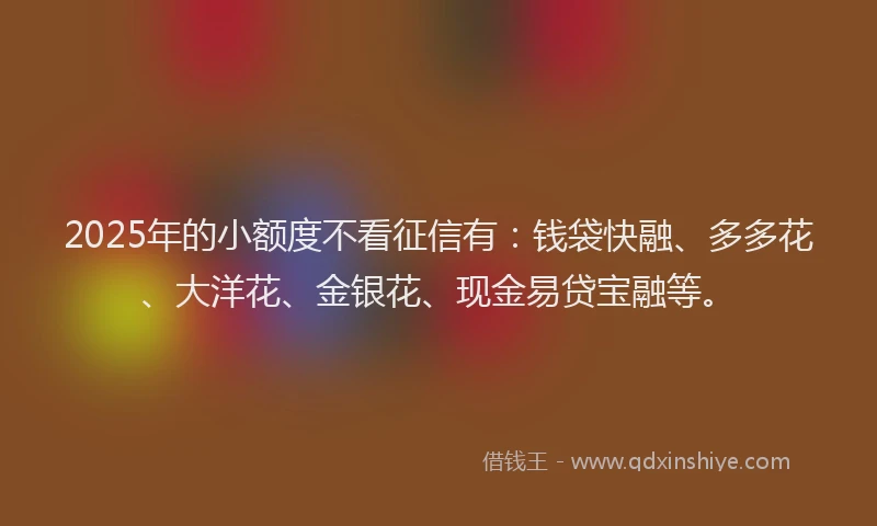 2025年的小额度不看征信有：钱袋快融、多多花、大洋花、金银花、现金易贷宝融等。