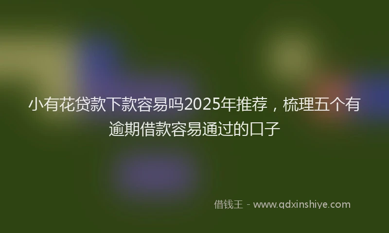 小有花贷款下款容易吗2025年推荐，梳理五个有逾期借款容易通过的口子
