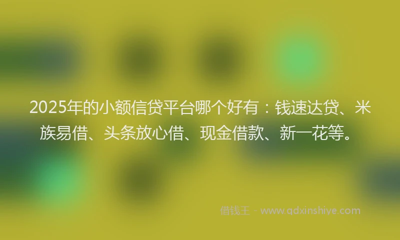 2025年的小额信贷平台哪个好有：钱速达贷、米族易借、头条放心借、现金借款、新一花等。