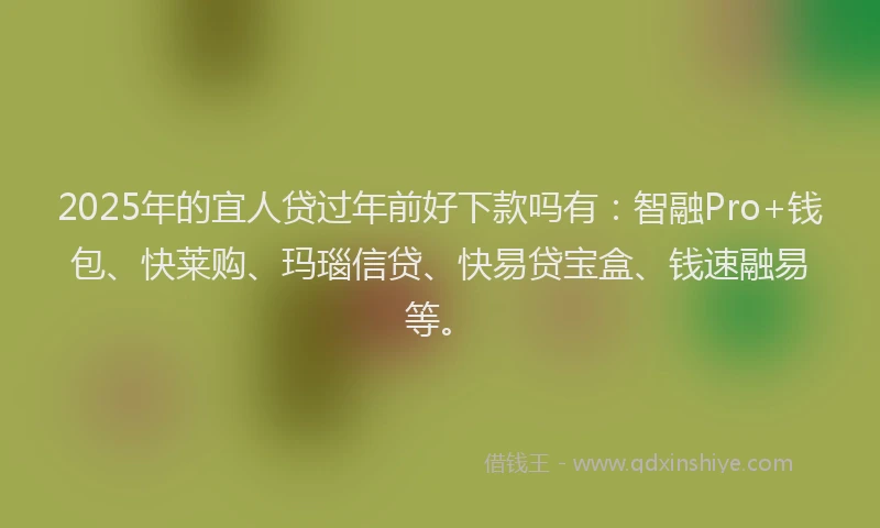 2025年的宜人贷过年前好下款吗有：智融Pro+钱包、快莱购、玛瑙信贷、快易贷宝盒、钱速融易等。