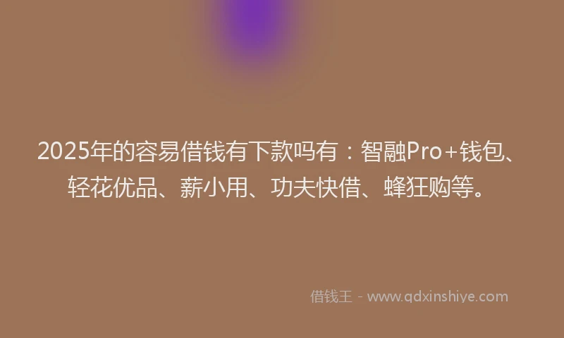 2025年的容易借钱有下款吗有：智融Pro+钱包、轻花优品、薪小用、功夫快借、蜂狂购等。