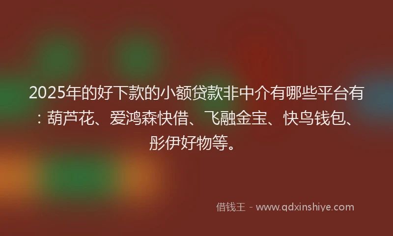 2025年的好下款的小额贷款非中介有哪些平台有：葫芦花、爱鸿森快借、飞融金宝、快鸟钱包、彤伊好物等。