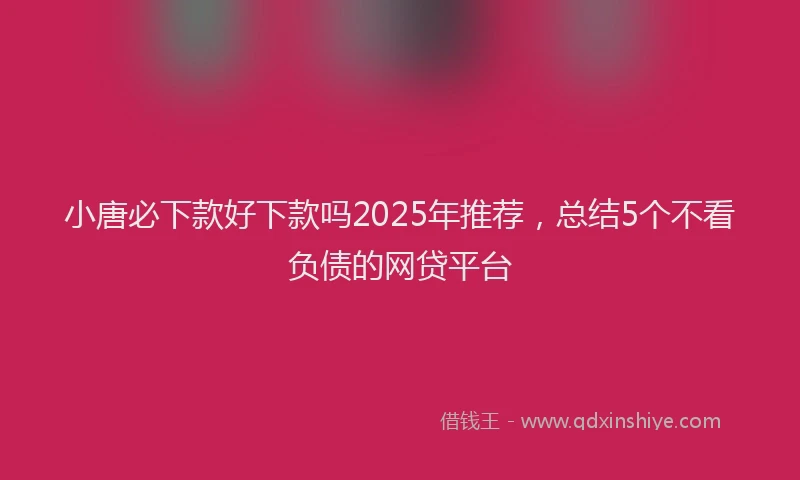 小唐必下款好下款吗2025年推荐，总结5个不看负债的网贷平台