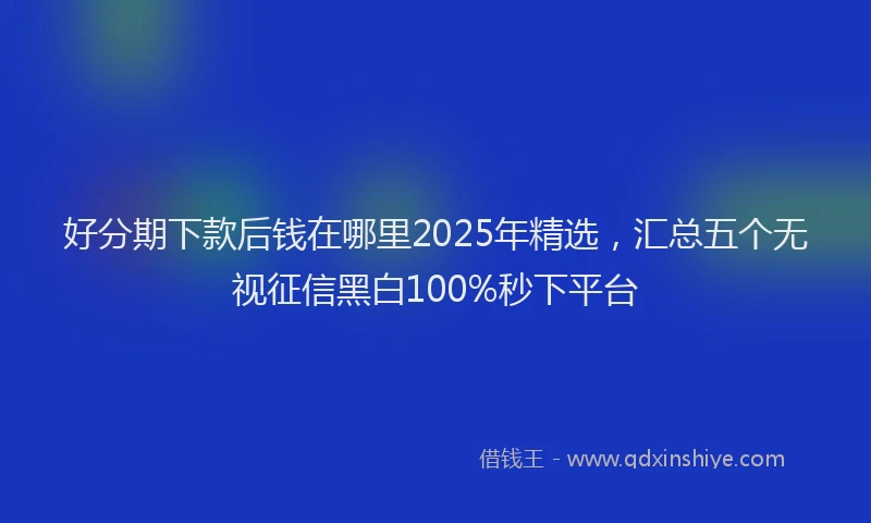 好分期下款后钱在哪里2025年精选，汇总五个无视征信黑白100%秒下平台