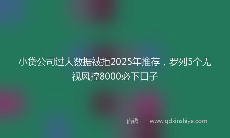 小贷公司过大数据被拒2025年推荐，罗列5个无视风控8000必下口子