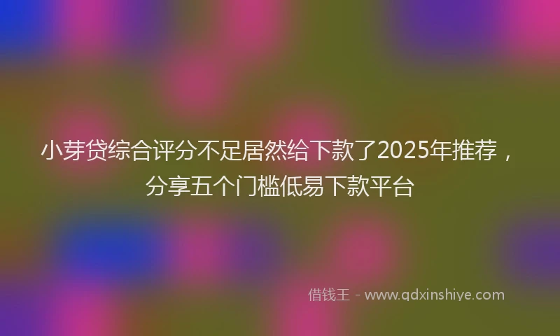 小芽贷综合评分不足居然给下款了2025年推荐，分享五个门槛低易下款平台
