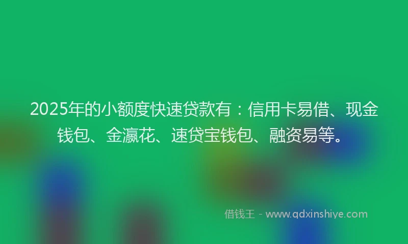 2025年的小额度快速贷款有：信用卡易借、现金钱包、金瀛花、速贷宝钱包、融资易等。