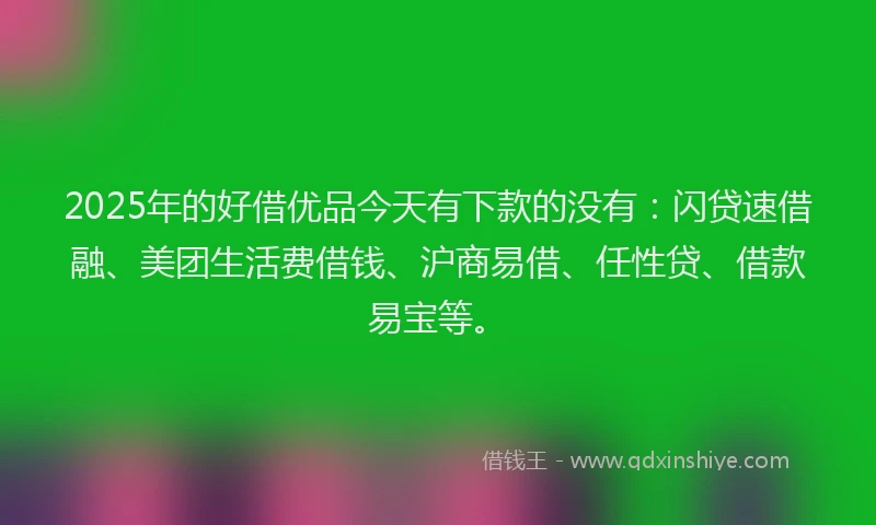 2025年的好借优品今天有下款的没有：闪贷速借融、美团生活费借钱、沪商易借、任性贷、借款易宝等。