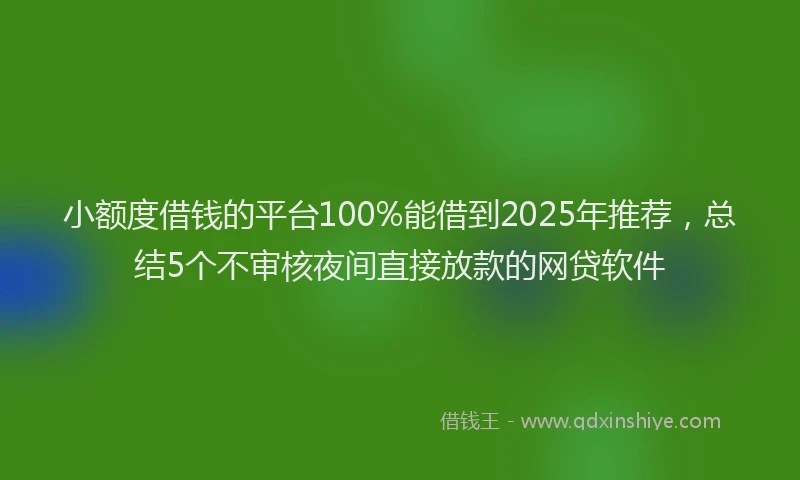 小额度借钱的平台100%能借到2025年推荐,总结5个不审核夜间直接放款的网贷软件