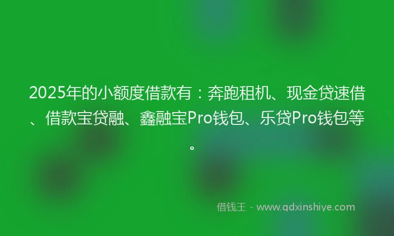 2025年的小额度借款有：奔跑租机、现金贷速借、借款宝贷融、鑫融宝Pro钱包、乐贷Pro钱包等。