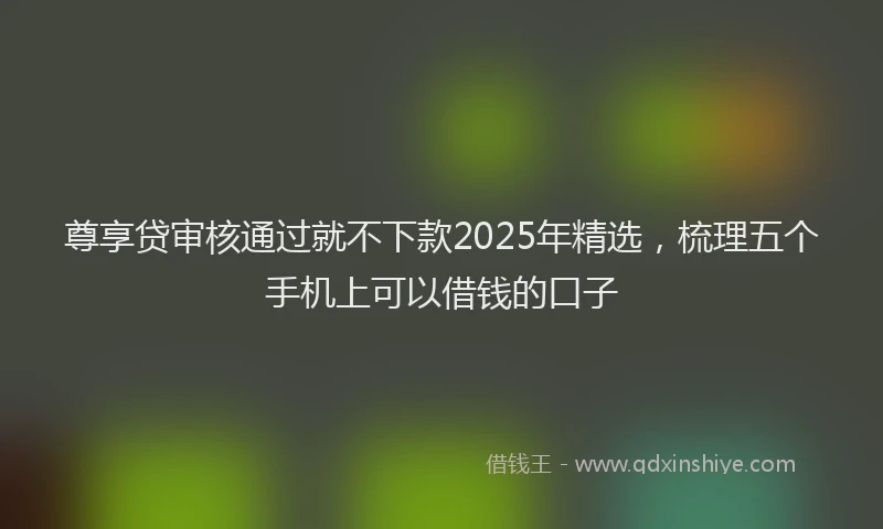 尊享贷审核通过就不下款2025年精选，梳理五个手机上可以借钱的口子